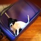 Oyes... esta maleta es cómoda... a mi me gusta un montón.